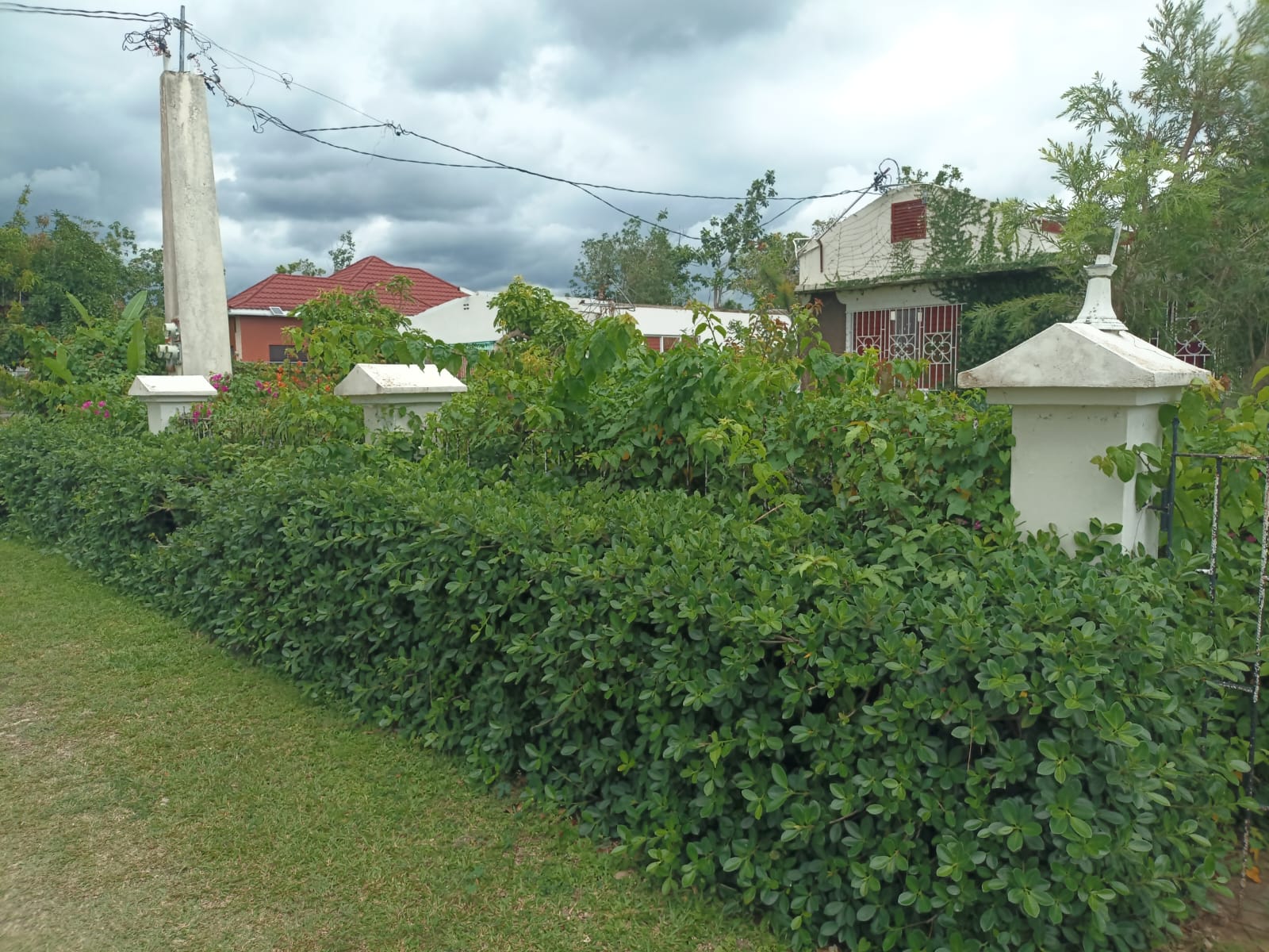 LOT No. 40 BEGONIA DRIVE, WESTMORE GARDENS, SAVANNA-LA-MAR, WESTMORELAND - Image 14