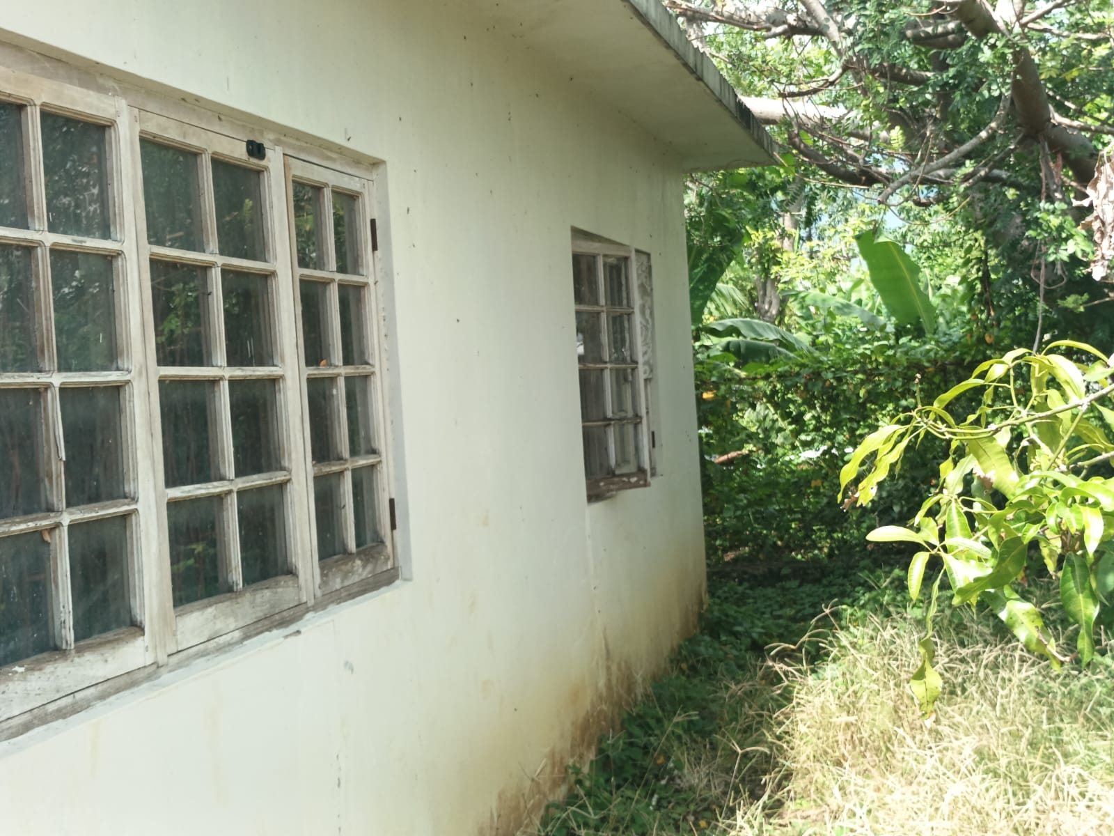 LOT No. 40 BEGONIA DRIVE, WESTMORE GARDENS, SAVANNA-LA-MAR, WESTMORELAND - Image 6